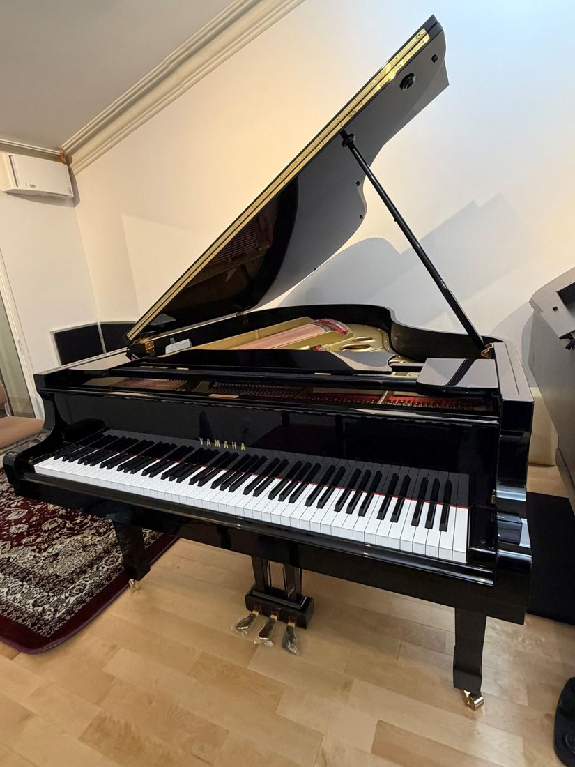 YAMAHA G5E の鍵盤と大屋根